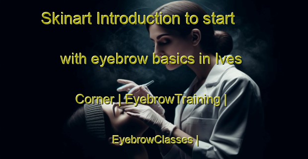 Skinart Introduction to start with eyebrow basics in Ives Corner | EyebrowTraining | EyebrowClasses | SkinartTraining-United States